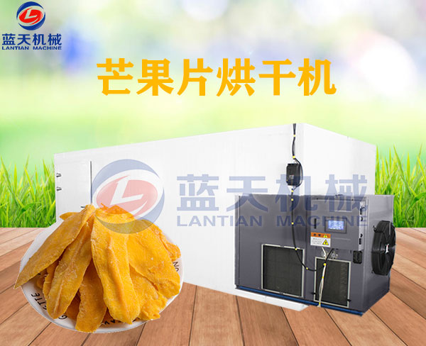 芒果片烘干機